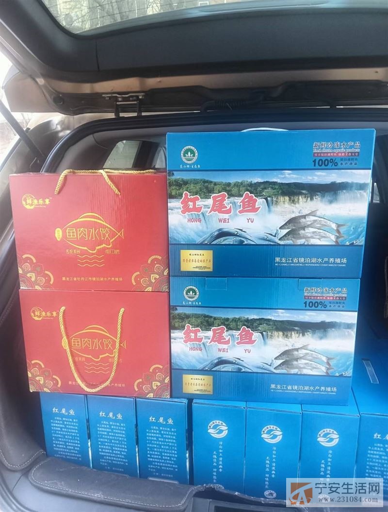 镜泊湖野生红尾鱼