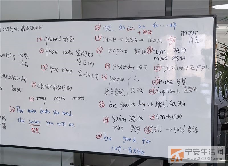 小学初中英语语文家教